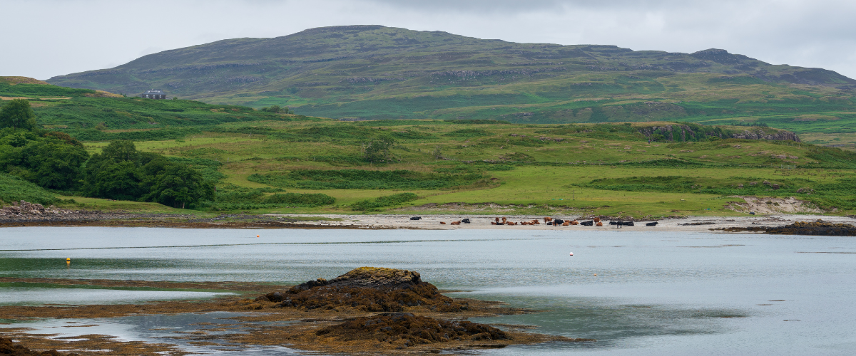 Scotland Eigg