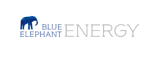 energy storage asset management